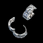 Laden Sie das Bild in den Galerie-Viewer, Ein paar Titan Creolen mit stark skulptierten Formen